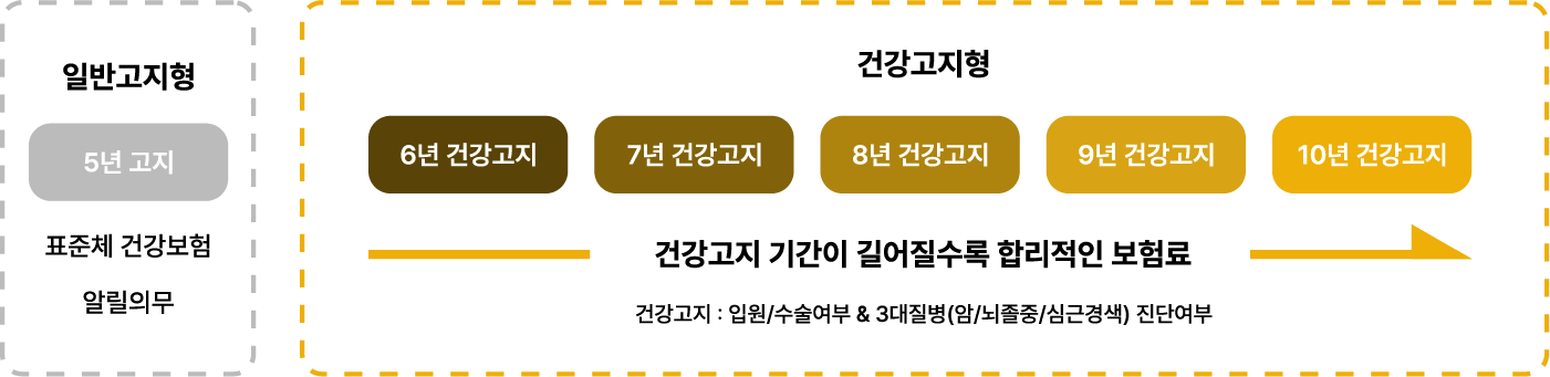 kb손보 오텐텐